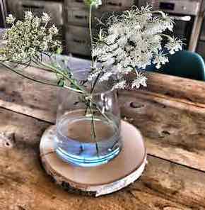 Détail cuisine
          			 Mas des Amis à Séguret