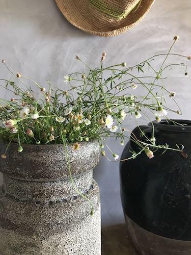 Mas des Amis à Séguret