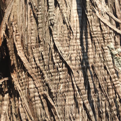 Mas des Amis à Séguret