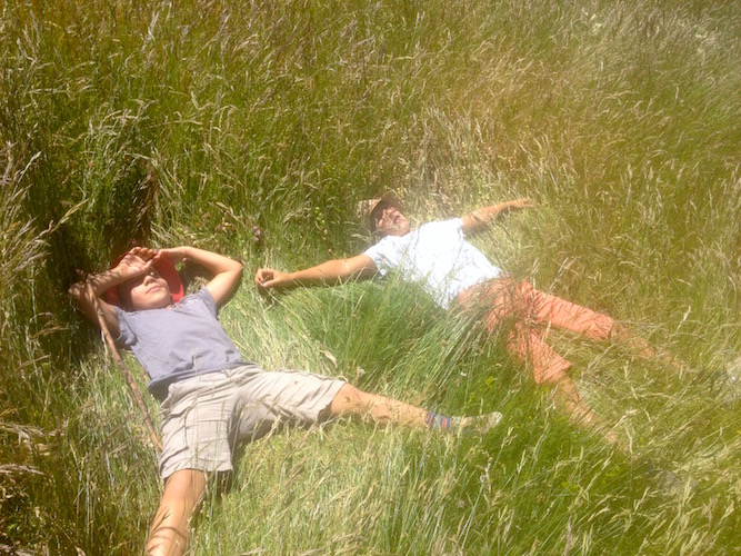 Mas des Amis à Séguret